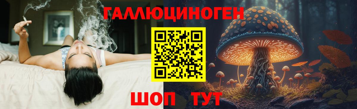Галлюциногенные грибы GOLDEN TEACHER  Галлюциногенные грибы Psilocybe  Приморско-Ахтарск  Вход с VPN 